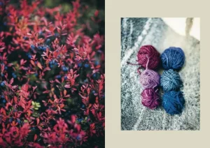 Cozy Publishing Arctic Knitting, The Magic of Nature and Colourwork