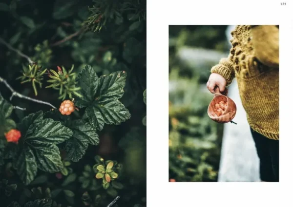 Cozy Publishing Arctic Knitting, The Magic of Nature and Colourwork