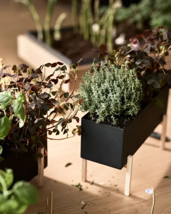 Design House Stockholm Botanic blomlåda