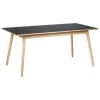 FDB Møbler C35B matbord, 160 x 82 cm, ek - svart linoleum