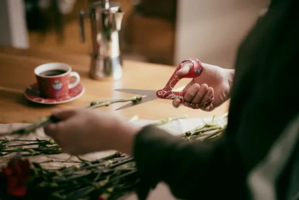 Fiskars x Iittala sax, Taika-röd
