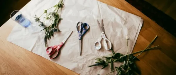 Fiskars x Iittala sax, Taika-röd