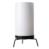 Fritz Hansen PM-02 bordslampa, opal - svart