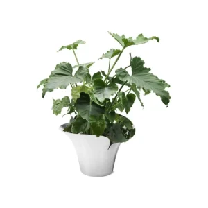 Georg Jensen Bloom Botanica blomkruka, L, rostfritt stål