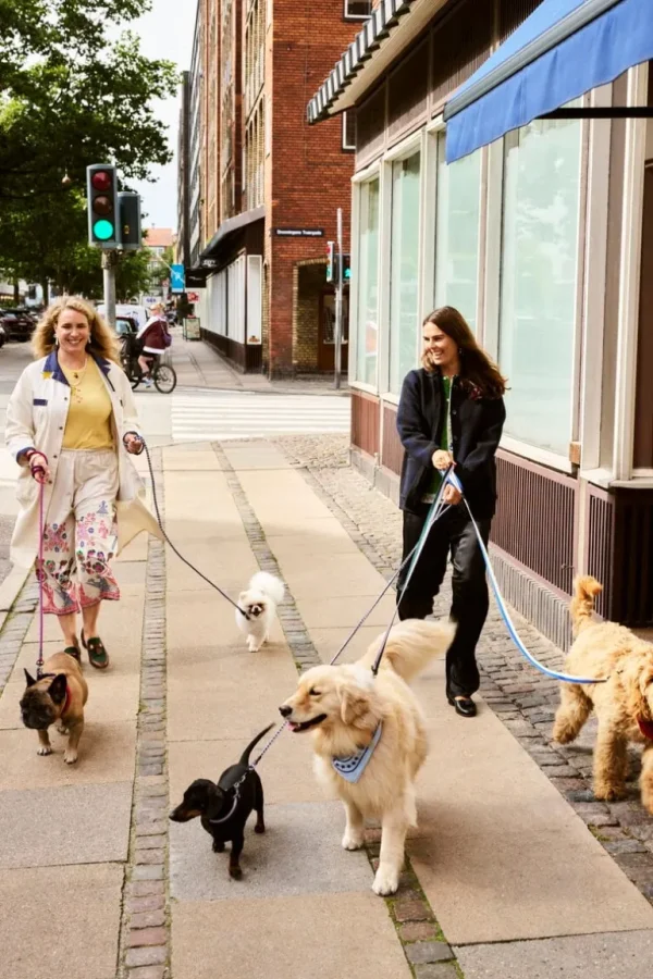 HAY Dogs koppel, tvinnat, röd - blå