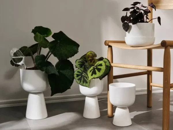Iittala bevattningsbehållare 2-pack