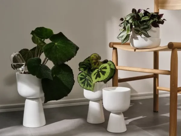 Iittala bevattningsbehållare 2-pack