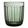 Iittala Raami glas 26 cl, 2-pack, pine green