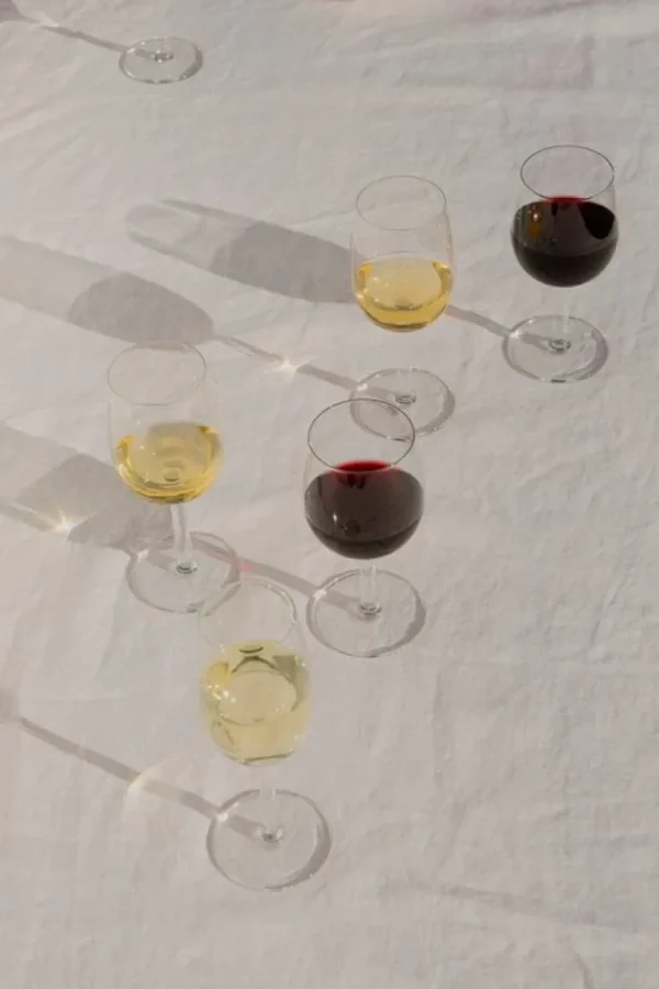 Iittala Raami vitvinsglas, 2-pack