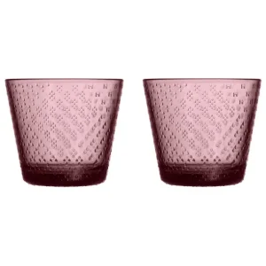 Iittala Tundra glas, 29 cl, 2-pack, calluna