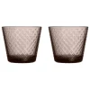 Iittala Tundra glas, 29 cl, 2-pack,