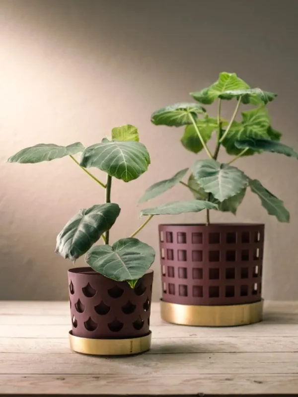 Klong Trio liten blomkruka, mörkröd