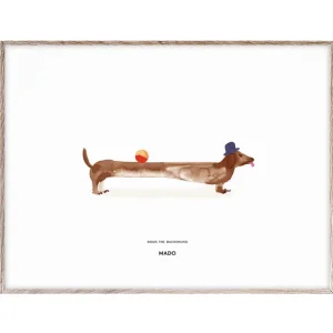 MADO Doug the Dachshund poster, 40 x 30 cm