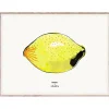 Barn MADO Lemon poster 40 x 30 cm