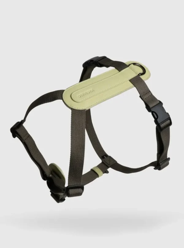 Masimalo Arch sele, light sage - khaki