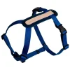 Masimalo Arch sele, navy - grandala blue
