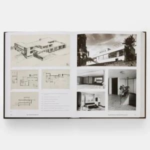 Phaidon Mies