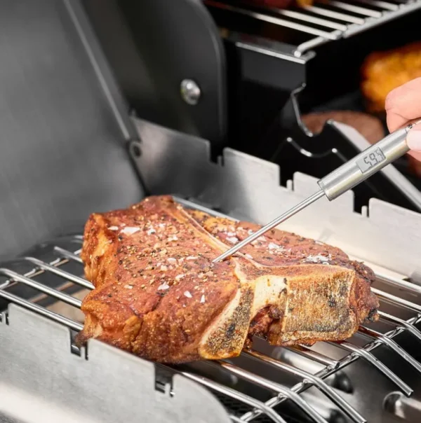 Ru00f6sle Rösle Gourmet stektermometer, 22 cm, stål