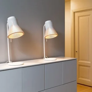 Secto Design Petite 4620 bordslampa,