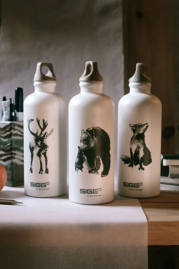 SIGG X TJ vattenflaska, 0,6 l, räv