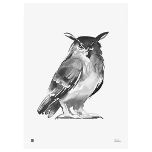 Teemu Järvi Illustrations Owl poster, 50 x 70 cm