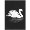 Teemu Järvi Illustrations Swan poster, 50 x 70 cm