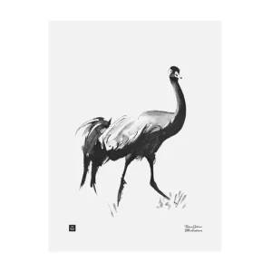 Teemu Järvi Illustrations Common Crane poster, 30 x 40 cm