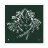 Teemu Järvi Illustrations Spruce Branch poster, 50 x 50 cm, forest green