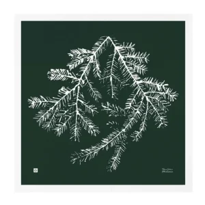 Teemu Järvi Illustrations Spruce Branch poster, 50 x 50 cm, forest green