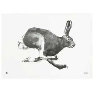 Teemu Järvi Illustrations Hare poster, 70 x 50 cm