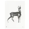 Teemu Järvi Illustrations Deer poster, 50 x 70 cm