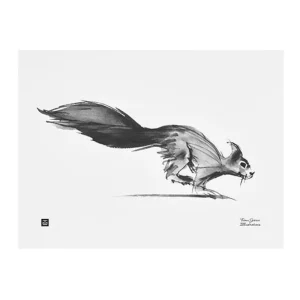 Teemu Järvi Illustrations Squirrel poster, 40 x 30 cm