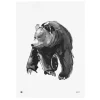 Teemu Järvi Illustrations Gentle Bear poster, 50 x 70 cm