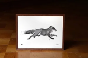 Teemu Järvi Illustrations Adventurous Fox poster, 40 x 30 cm