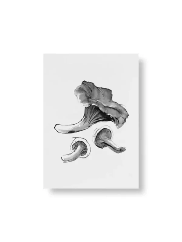 Teemu Ju00e4rvi Illustrations Teemu Järvi Illustrations Wild Mushroom set med miniposters, 4 st