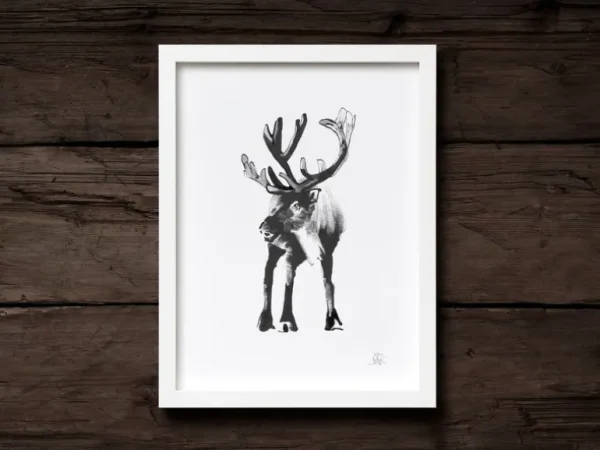 Teemu Järvi Illustrations Reindeer poster, 30 x 40 cm