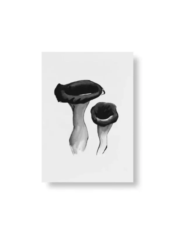 Teemu Ju00e4rvi Illustrations Teemu Järvi Illustrations Wild Mushroom set med miniposters, 4 st