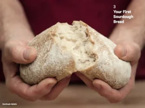 The Do Book Co Do Sourdough - Långsam bröd för upptagna liv