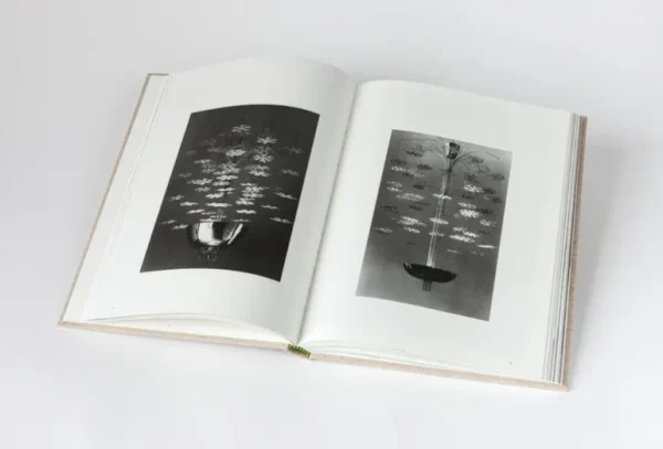 Toivo publishing Chasing Light: Archival Photographs and Drawings of Paavo Tynell