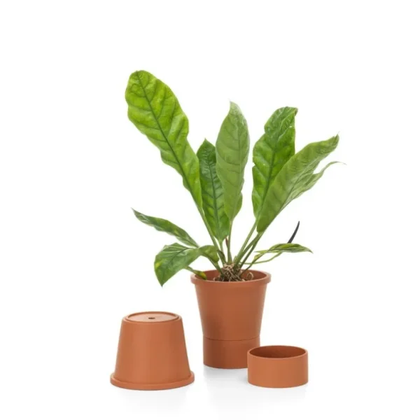 Vitra Terracotta kruka, L, terrakotta