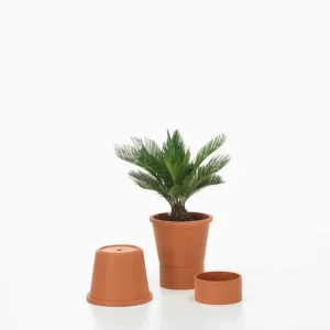 Vitra Terracotta kruka, L, terrakotta